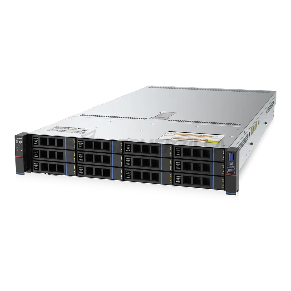 Gooxi SL201-D12R 2U